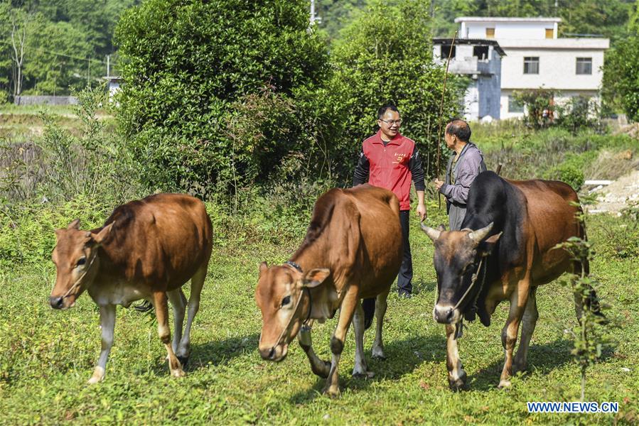 CHINA-GUANGXI-POVERTY ALLEVIATION-YOUTH (CN)